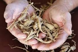 قدرتی ذرائع سے مردوں میں طاقت میں اضافہ